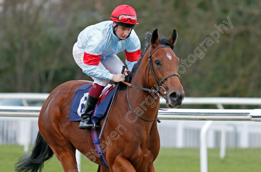 Fashion-Love 
 FASHION LOVE (Cieren Fallon)
Lingfield 1 Dec 2021 - Pic Steven Cargill / Racingfotos.com