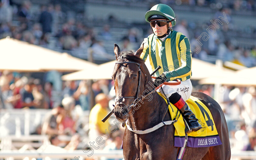 Dream-Shot-0001 
 DREAM SHOT (Chris Hayes)
Santa Anita 1 Nov 2019 - Pic Steven Cargill / Racingfotos.com