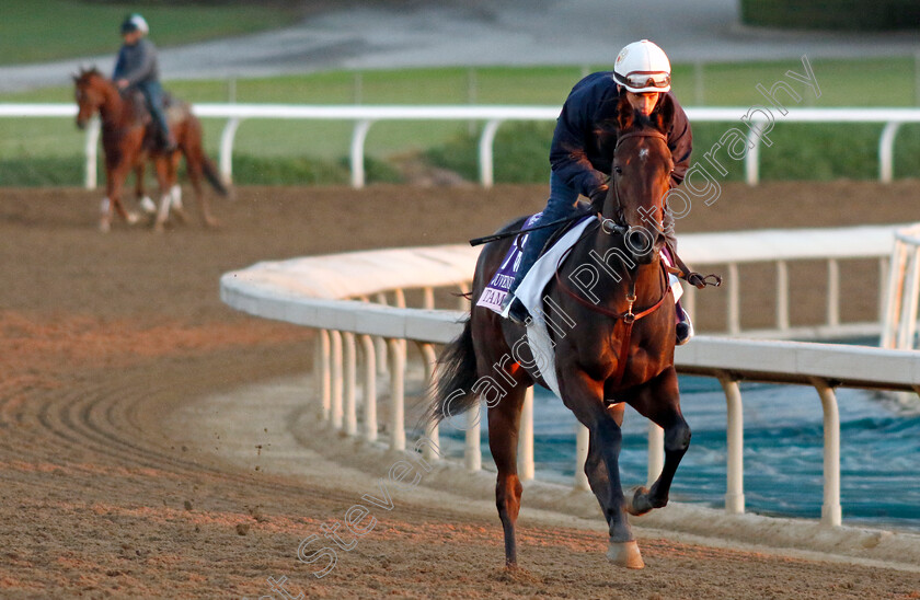 Tamara-0001 
 TAMARA training for The Breeders' Cup Juvenile Fillies
Santa Anita USA, 31 October 2023 - Pic Steven Cargill / Racingfotos.com