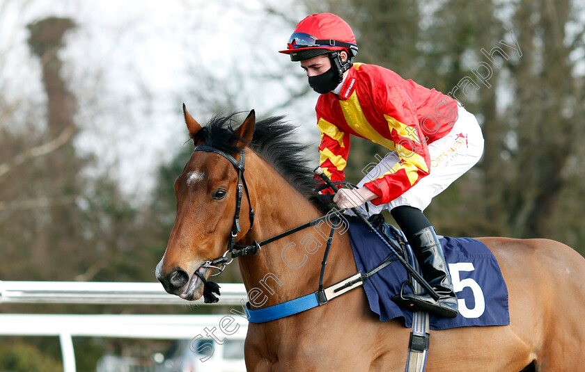 Thomas-Daniell-0001 
 THOMAS DANIELL (Rossa Ryan)
Lingfield 27 Feb 2021 - Pic Steven Cargill / Racingfotos.com