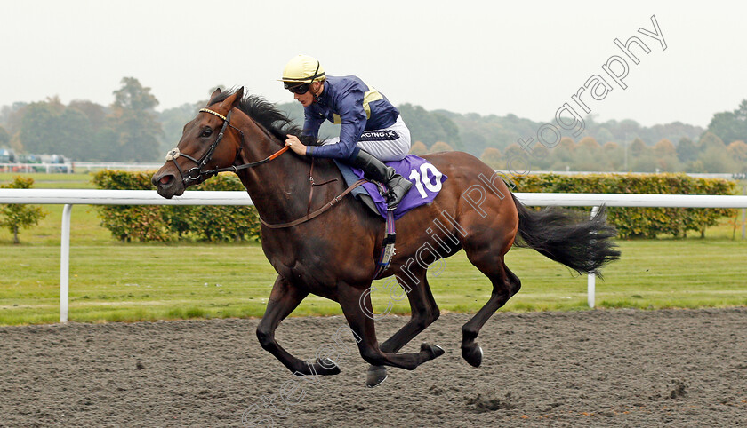 Ply-0003 
 PLY (Harry Bentley) wins The Winners Are Welcome At Matchbook Handicap Kempton 25 Sep 2017 - Pic Steven Cargill / Racingfotos.com