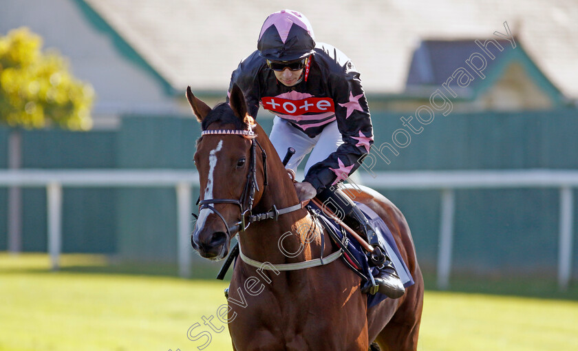 Ballykessangel-0001 
 BALLYKESSANGEL (Louis Steward)
Yarmouth 18 Oct 2022 - Pic Steven Cargill / Racingfotos.com