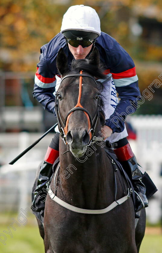 Cuban-Heel-0001 
 CUBAN HEEL (Adam Kirby) Newbury 23 Sep 2017 - Pic Steven Cargill / Racingfotos.com