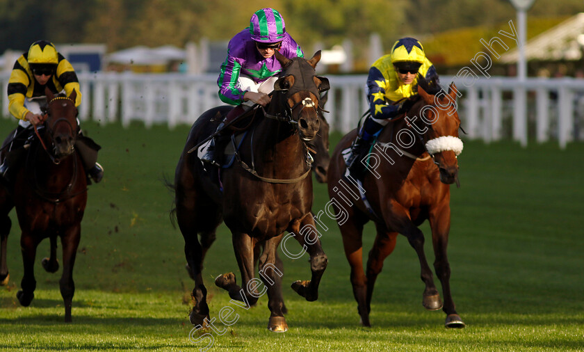 Oceanline-0001 
 OCEANLINE (Rob Hornby) wins The Inline Policy Ltd 10th Anniversary Handicap
Ascot 6 Oct 2023 - Pic Steven Cargill / Racingfotos.com