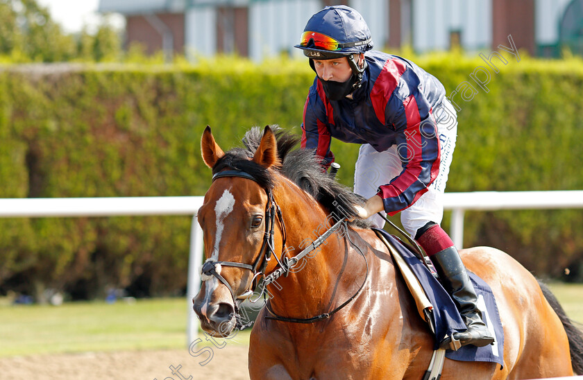 The-Pinto-Kid-0001 
 THE PINTO KID (Cieren Fallon)
Wolverhampton 11 Aug 2020 - Pic Steven Cargill / Racingfotos.com