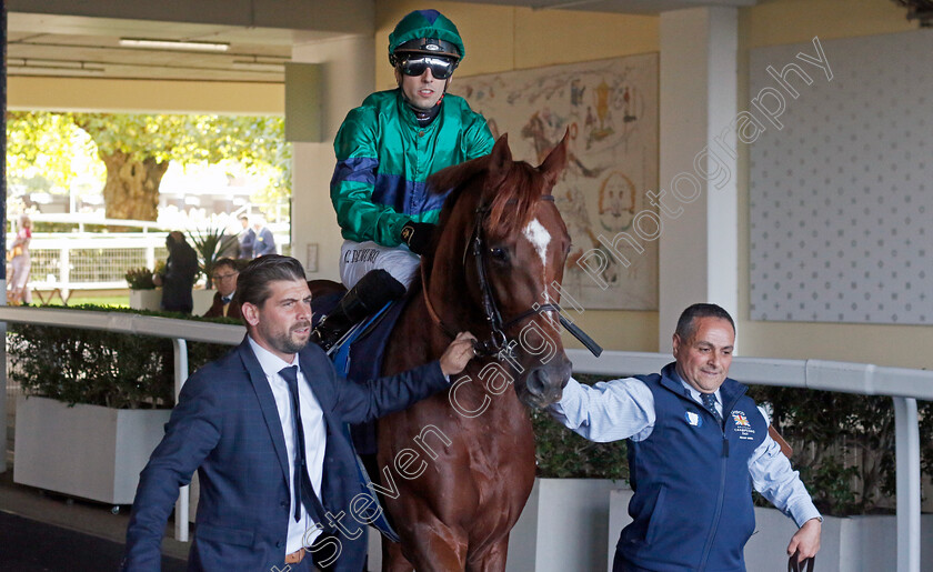 Metropolitan-0001 
 METROPOLITAN (Cristian Demuro)
Ascot 19 Oct 2024 - Pic Steven Cargill / Racingfotos.com