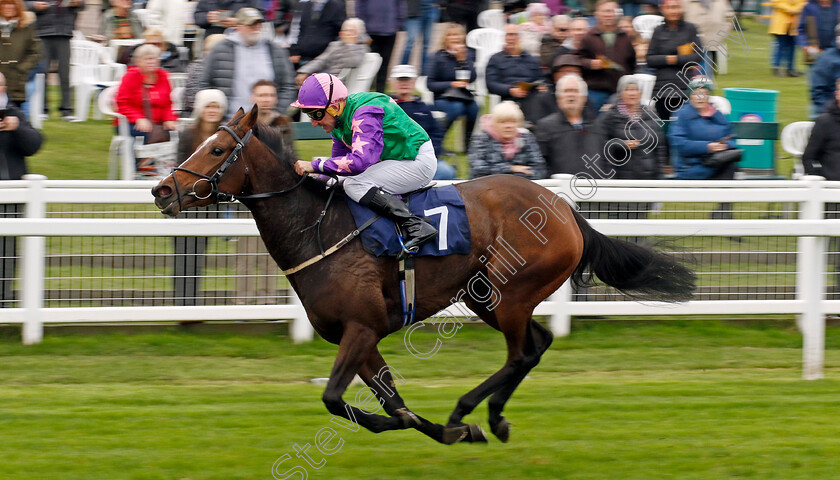 Bush-Rose-0002 
 BUSH ROSE (John Egan) wins The Bresbet Rewards Loyalty Handicap
Yarmouth 16 Oct 2023 - Pic Steven Cargill / Racingfotos.com