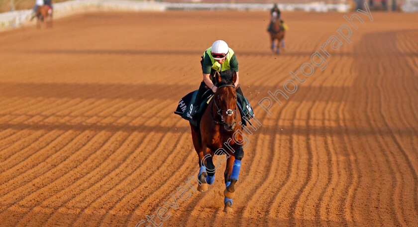 Mishriff-0001 
 MISHRIFF training for the Saudi Cup
King Abdulaziz Racetrack, Riyadh, Saudi Arabia 24 Feb 2022 - Pic Steven Cargill / Racingfotos.com