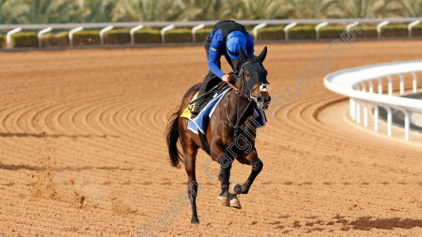 Passion-And-Glory-0004 
 PASSION AND GLORY training for The Turf Cup
King Abdulaziz Racetrack, Riyadh, Saudi Arabia 24 Feb 2022 - Pic Steven Cargill / Racingfotos.com