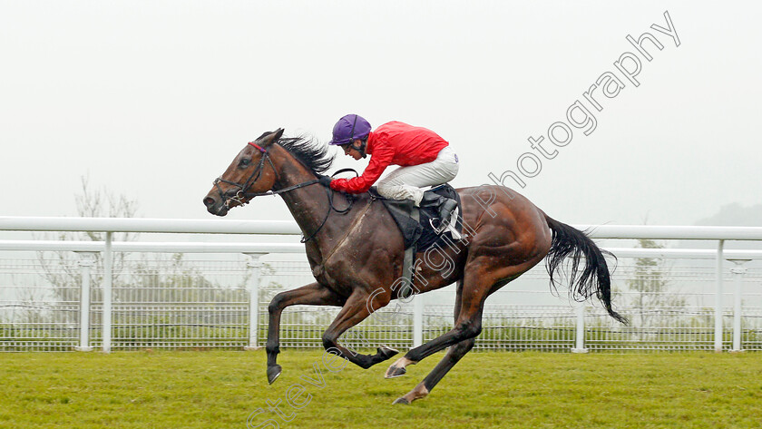 Magnolia-Springs-0005 
 MAGNOLIA SPRINGS (Charles Bishop) wins The netbet.co.uk Height Of Fashion Stakes Goodwood 24 May 2018 - Pic Steven Cargill / Racingfotos.com