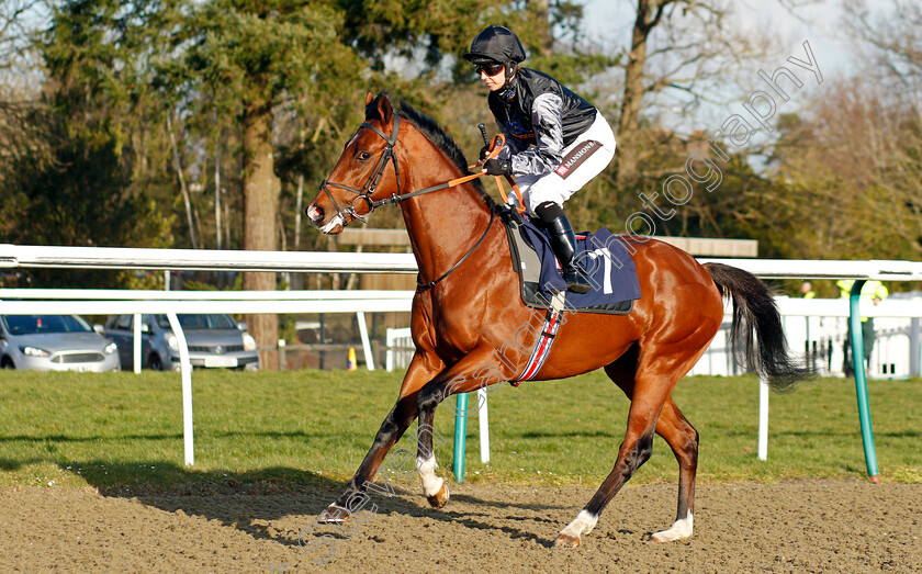 Lucky-Man-0001 
 LUCKY MAN (Hayley Turner) winner of The Watch Racing Free Online At Coral Handicap
Lingfield 9 Mar 2022 - Pic Steven Cargill / Racingfotos.com