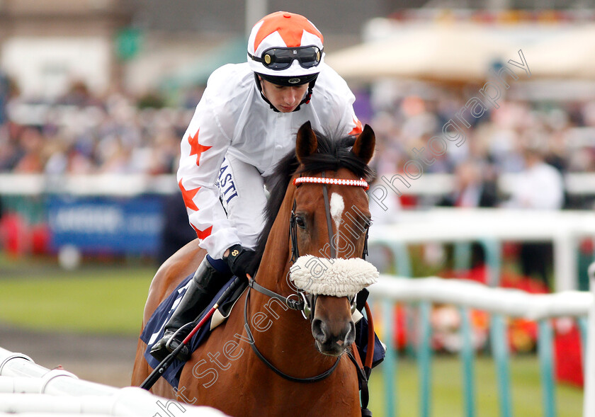 Dubai-Dominion-0001 
 DUBAI DOMINION (Oisin Murphy)
Doncaster 14 Sep 2018 - Pic Steven Cargill / Racingfotos.com