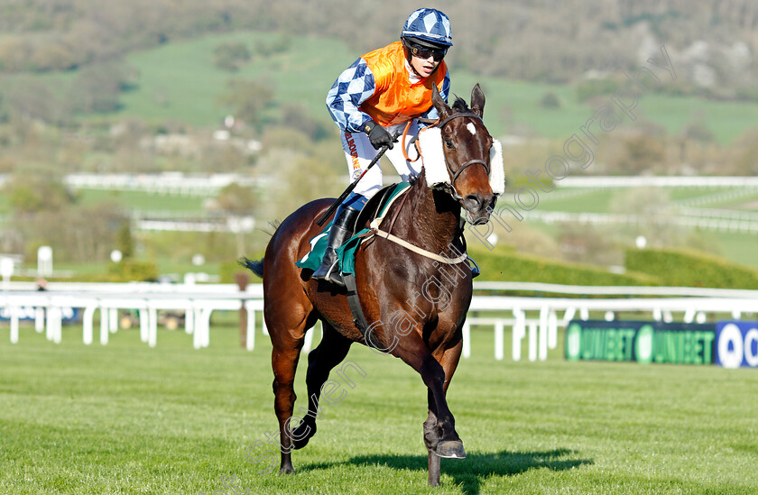 Hawthorn-Cottage-0002 
 HAWTHORN COTTAGE (Lucy Barry) wins The Spreadex Sports Betting Mares' Standard Open National Hunt Flat Race Cheltenham 19 Apr 2018 - Pic Steven Cargill / Racingfotos.com