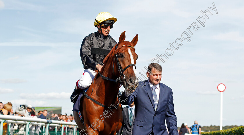 Stradivarius-0003 
 STRADIVARIUS (Frankie Dettori) before The Magners Rose Doncaster Cup
Doncaster 13 Sep 2019 - Pic Steven Cargill / Racingfotos.com