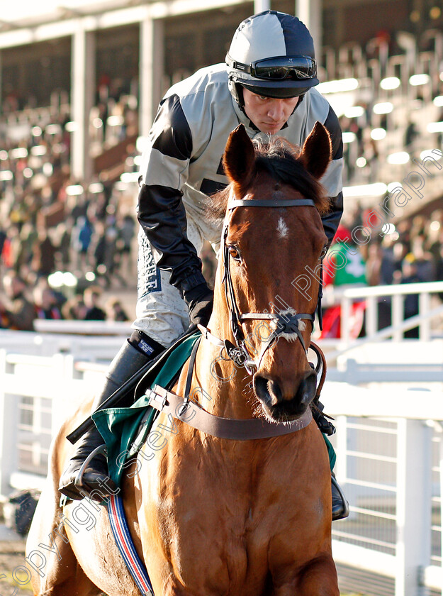 Art-Of-Payroll-0001 
 ART OF PAYROLL (Jonathan Burke)
Cheltenham 14 Dec 2019 - Pic Steven Cargill / Racingfotos.com