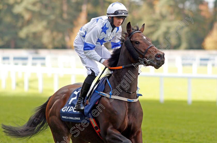 Make-A-Challenge-0001 
 MAKE A CHALLENGE (James J Doyle)
Ascot 19 Oct 2019 - Pic Steven Cargill / Racingfotos.com