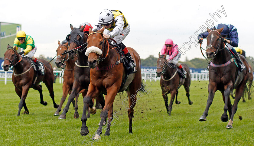 Dakota-Gold-0005 
 DAKOTA GOLD (Connor Beasley) wins The UK Hi-Fi Show Live Rous Stakes
Ascot 5 Oct 2019 - Pic Steven Cargill / Racingfotos.com