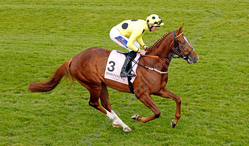 Golden-West-0001 
 GOLDEN WEST (Clifford Lee)
Chester 8 May 2024 - Pic Steven Cargill / Racingfotos.com