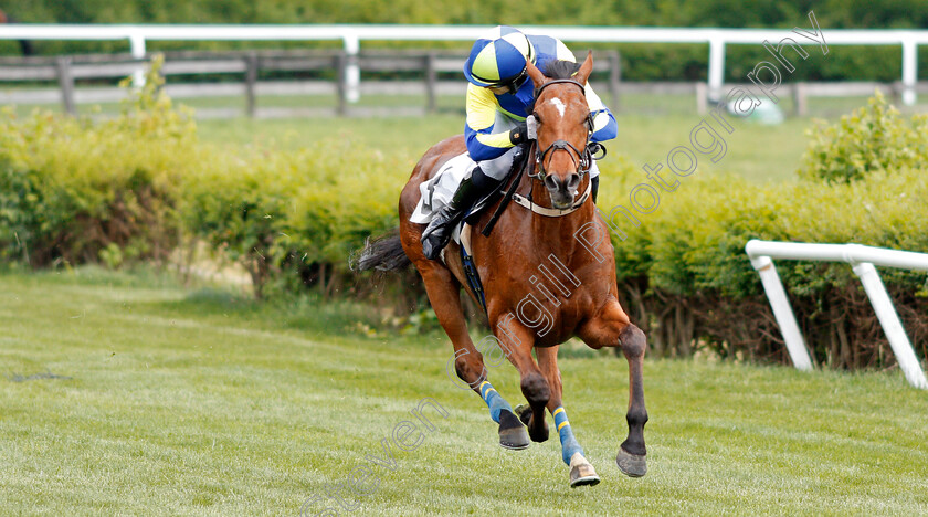 Lord-Justice-0005 
 LORD JUSTICE (Sean McDermott) wins The Green Pastures Hurdle at Perct Warner Park, Nashville 12 May 2018 - Pic Steven Cargill / Racingfotos.com