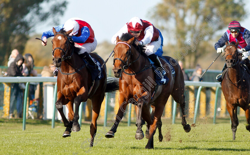 Mehdaayih-0005 
 MEHDAAYIH (left, Robert Havlin) beats FANNY LOGAN (right) in The British Stallion Studs EBF Fillies Novice Stakes Div2
Yarmouth 23 Oct 2018 - pic Steven Cargill / Racingfotos.com