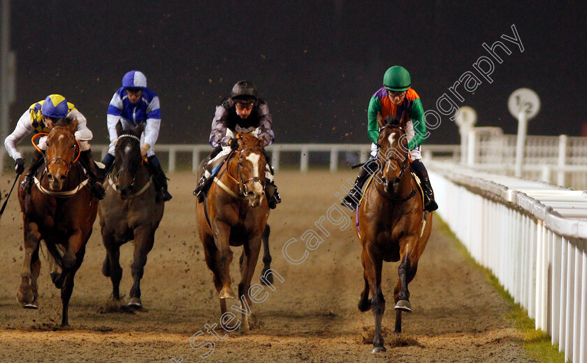 Reeves-0003 
 REEVES (Hollie Doyle) wins The Bet totequadpot At totesport.com Handicap
Chelmsford 28 Nov 2019 - Pic Steven Cargill / Racingfotos.com