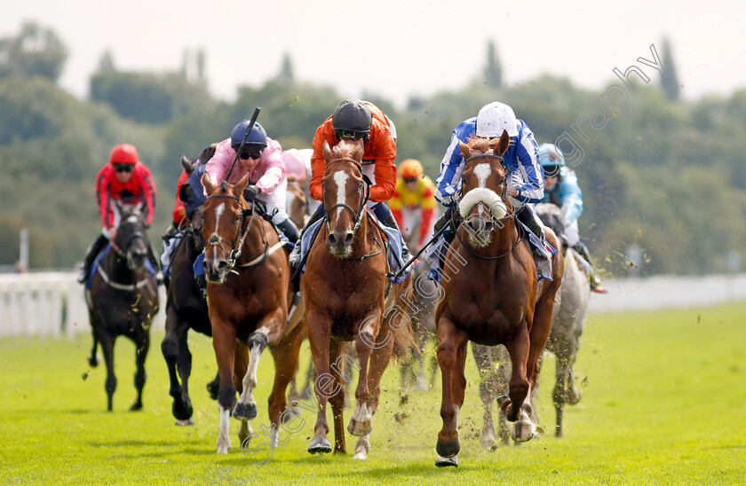 Marhaba-The-Champ-0003 
 MARHABA THE CHAMP (Ryan Moore) wins The Sky Bet Handicap
York 25 Aug 2023 - Pic Steven Cargill / Racingfotos.com