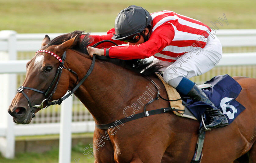 Redemptive-0005 
 REDEMPTIVE (William Buick) wins The Watch Free Replays On attheraces.com Handicap Div2
Yarmouth 25 Aug 2020 - Pic Steven Cargill / Racingfotos.com