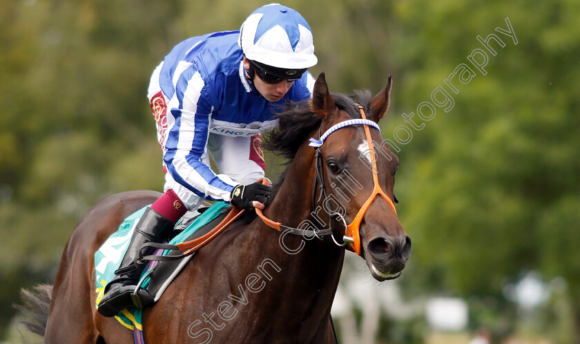 Mystery-Power-0010 
 MYSTERY POWER (Oisin Murphy) wins The bet365 Superlative Stakes
Newmarket 13 Jul 2019 - Pic Steven Cargill / Racingfotos.com