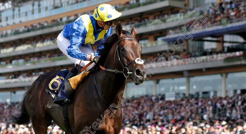 Poet s-Word-0009 
 POET'S WORD (James Doyle) wins The Prince Of Wales's Stakes 
Royal Ascot 20 Jun 2018 - Pic Steven Cargill / Racingfotos.com