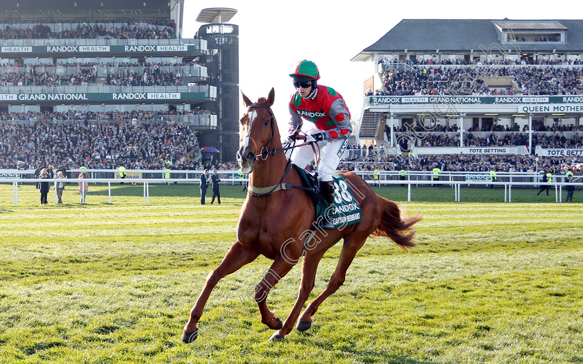 Captain-Redbeard-0001 
 CAPTAIN REDBEARD (Sam Coltherd)
Aintree 6 Apr 2019 - Pic Steven Cargill / Racingfotos.com