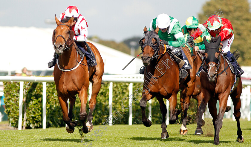 Dubai-Acclaim-0002 
 DUBAI ACCLAIM (left, Sammy Jo Bell) beats HAMMER GUN (centre) and FLYING DRAGON (right) in The Mondialiste Leger Legends Classified Stakes
Doncaster 11 Sep 2019 - Pic Steven Cargill / Racingfotos.com