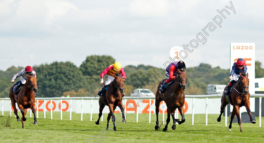 Bayside-Boy-0001 
 BAYSIDE BOY (2nd left, David Egan) beats REACH FOR THE MOON (2nd right) and TWILIGHT JET (right) in The Champagne Stakes
Doncaster 11 Sep 2021 - Pic Steven Cargill / Racingfotos.com