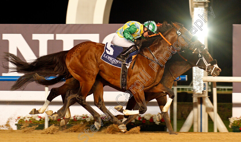 Kimbear-0005 
 KIMBEAR (centre, Pat Dobbs) gets his head down on the line to beat SECRET AMBITION (nearside) and NORTH AMERICA (hidden) in The Al Maktoum Challenge (Round 1)
Meydan 9 Jan 2020 - Pic Steven Cargill / Racingfotos.com