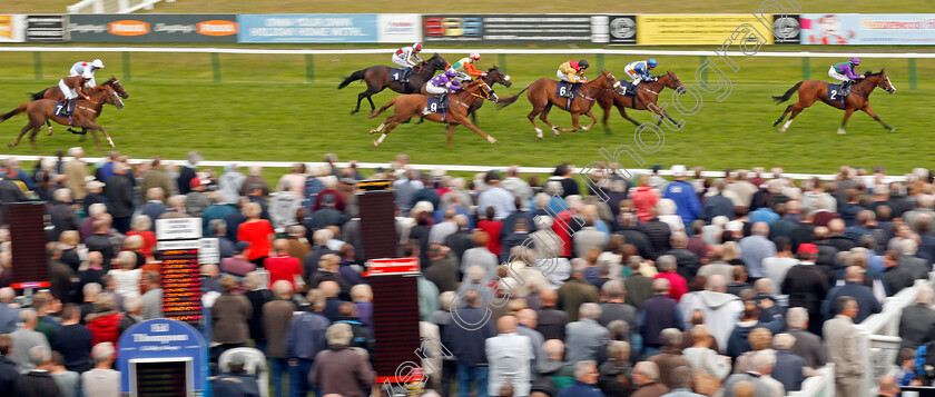 Fortitude-0002 
 FORTITUDE (Josephine Gordon) wins The Danny And Peggy Wright Memorial Fillies Handicap Yarmouth 20 Sep 2017 - Pic Steven Cargill / Racingfotos.com