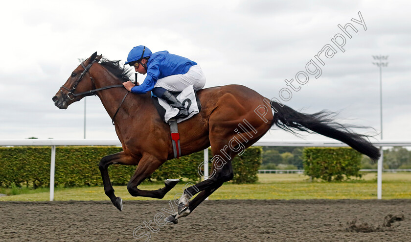 Arabian-Light-0001 
 ARABIAN LIGHT (William Buick) wins The Unibet Novice Stakes (Div1)
Kempton 7 Aug 2024 - Pic Steven Cargill / Racingfotos.com