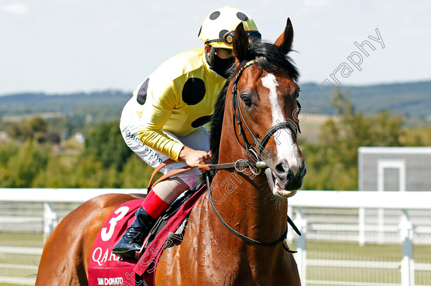 San-Donato-0002 
 SAN DONATO (Andrea Atzeni)
Goodwood 29 Jul 2020 - Pic Steven Cargill / Racingfotos.com