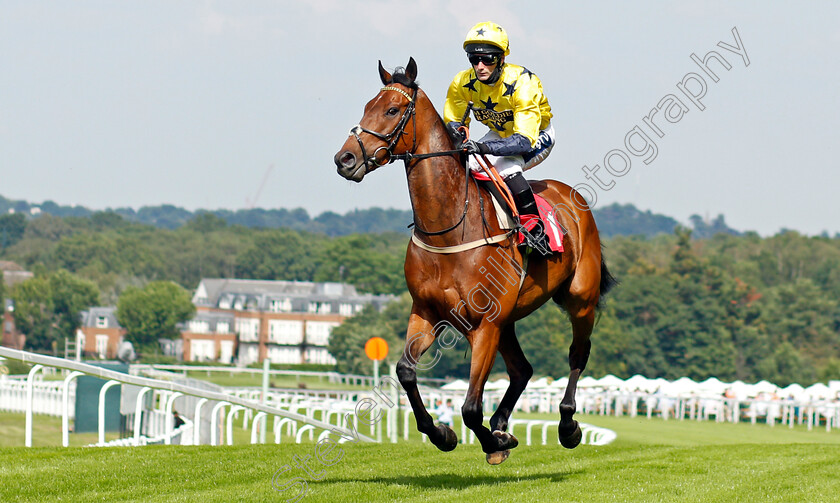 Euchen-Glen-0001 
 EUCHEN GLEN (Paul Mulrennan) winner of The Davies Insurance Services Gala Stakes
Sandown 2 Jul 2021 - Pic Steven Cargill / Racingfotos.com