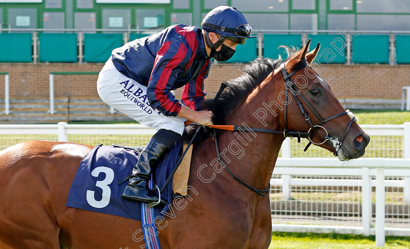 Hickory-0001 
 HICKORY (Tom Marquand) winner of The EBF Future Stayers Novice Stakes
Yarmouth 25 Aug 2020 - Pic Steven Cargill / Racingfotos.com