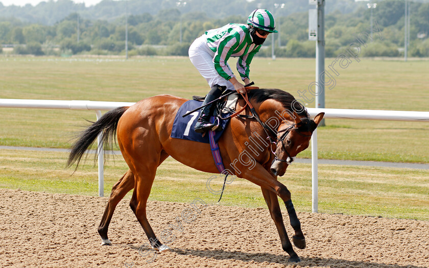 Dark-Alibi-0001 
 DARK ALIBI (Saffie Osborne) 
Wolverhampton 11 Aug 2020 - Pic Steven Cargill / Racingfotos.com