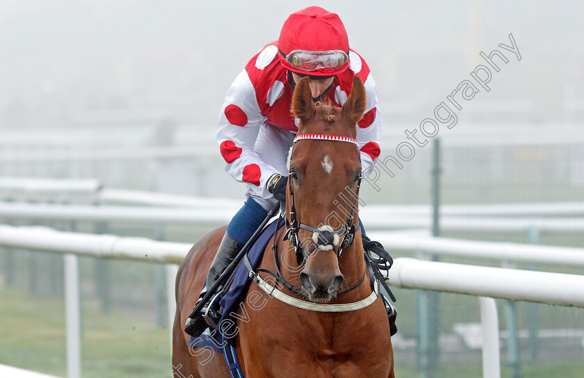 Sir-Benedict-0001 
 SIR BENEDICT (William Buick) winner of The Betfair Weighed In Podcast Nursery
Doncaster 7 Nov 2020 - Pic Steven Cargill / Racingfotos.com