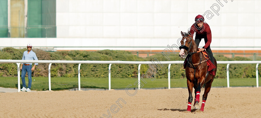 Laurel-River-0001 
 LAUREL RIVER training for the Dubai Racing Carnival as trainer Bhupat Seemar looks on.
Meydan 23 Jan 2025 - Pic Steven Cargill / Racingfotos.com