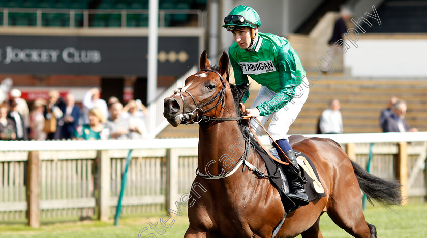 Surac-0001 
 SURAC (Hector Crouch)
Newmarket 23 Sep 2021 - Pic Steven Cargill / Racingfotos.com