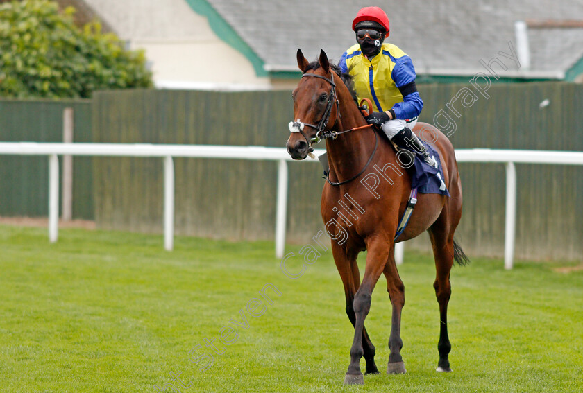 Via-Serendipity-0001 
 VIA SERENDIPITY (Hayley Turner)
Yarmouth 16 Sep 2020 - Pic Steven Cargill / Racingfotos.com