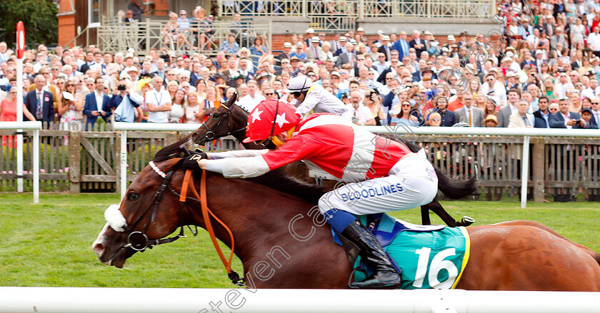 Pass-The-Vino-0001 
 PASS THE VINO (David Egan) beats MOSS GILL (farside) in The bet365 Handicap
Newmarket 11 Jul 2019 - Pic Steven Cargill / Racingfotos.com