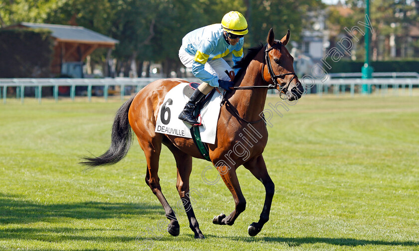 Ocean-Cloud-0001 
 OCEAN CLOUD (C Fiocchi)
Deauville 6 Aug 2022 - Pic Steven Cargill / Racingfotos.com