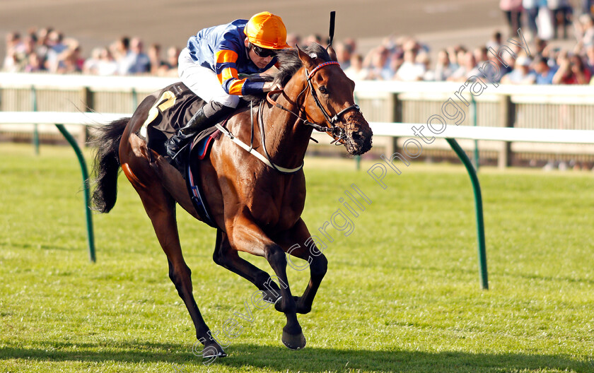 Turntable-0007 
 TURNTABLE (Callum Shepherd) wins The Unibet Handicap
Newmarket 24 Sep 2021 - Pic Steven Cargill / Racingfotos.com