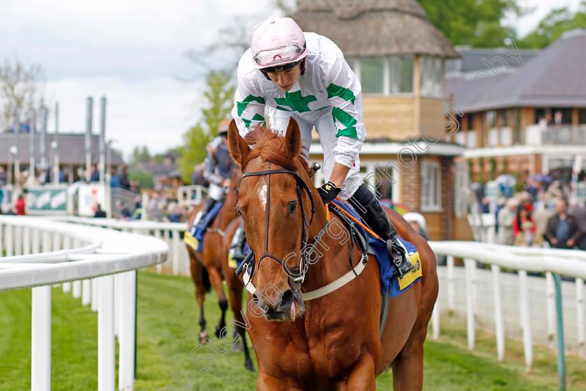 Venturous 
 VENTUROUS (Tom Marquand)
York 11 May 2022 - Pic Steven Cargill / Racingfotos.com