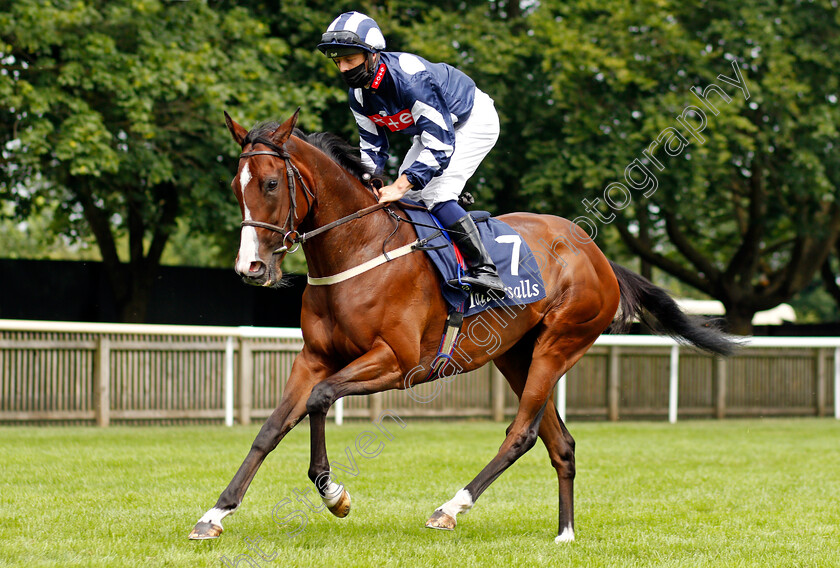 Illykato-0001 
 ILLYKATO (Ben Curtis)
Newmarket 9 Jul 2021 - Pic Steven Cargill / Racingfotos.com