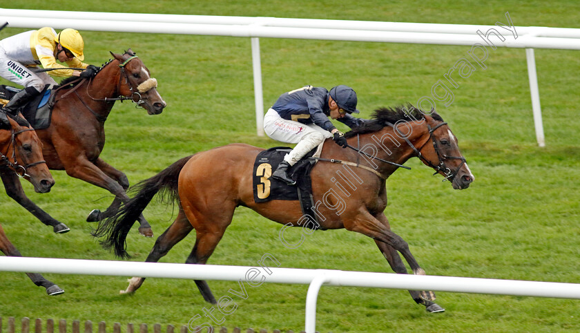 Good-Earth-0005 
 GOOD EARTH (Kevin Stott) wins The cavani.co.uk The Sartorial Sprint Handicap
Newmarket 14 Jul 2023 - Pic Steven Cargill / Racingfotos.com