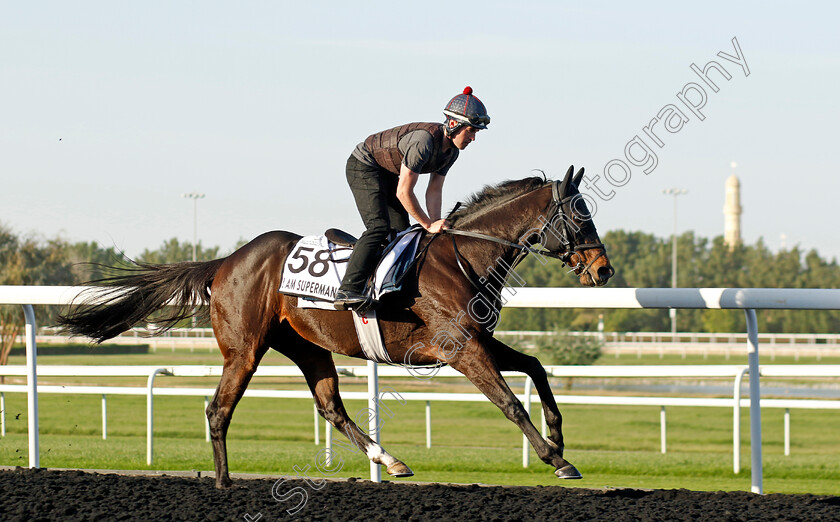 I-Am-Superman-0001 
 I AM SUPERMAN training at the Dubai World Cup Carnival
Meydan 5 Jan 2023 - Pic Steven Cargill / Racingfotos.com